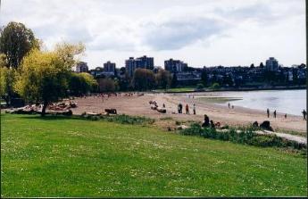 Beach in Downtown Vancouver